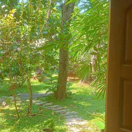 Mother'S Inn Homestay Коччи Экстерьер фото
